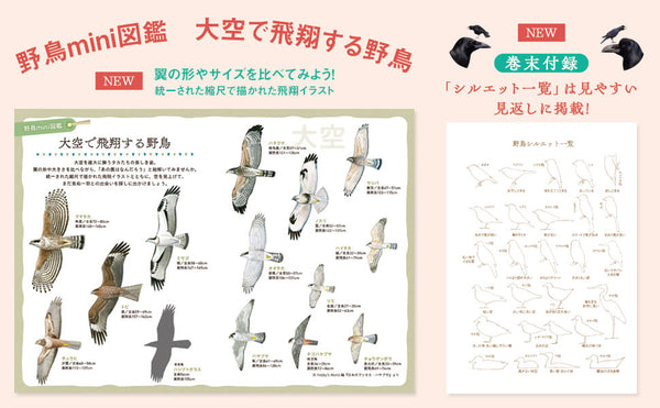 野鳥観察手帖2027