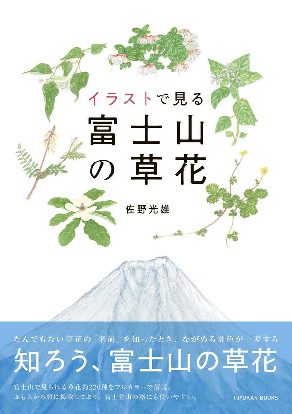 イラストで見る富士山の草花